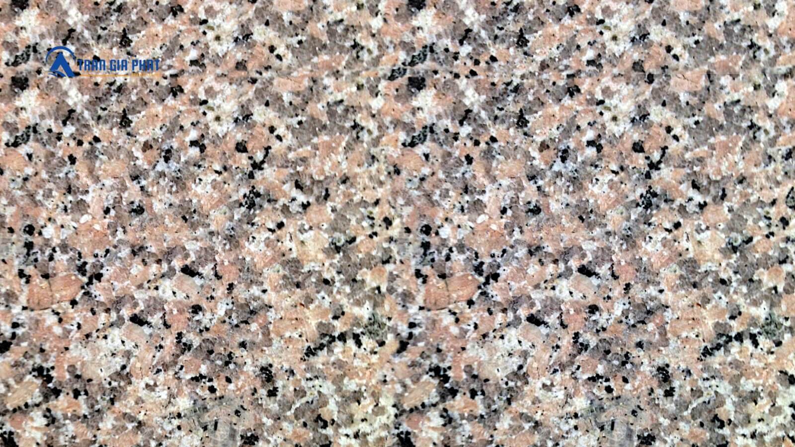 Đá hoa cương Vàng Bình Định